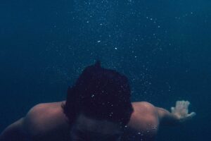 Cultural District Unveils Spring Program