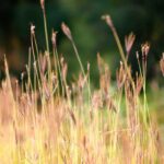 ممر اللوجستيات يحسّن التجارة العابرة للحدود