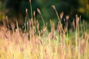 Logistics Corridor Improves Cross-Border Trade