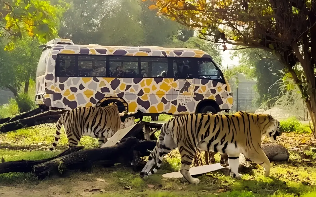 safari park dubai 3